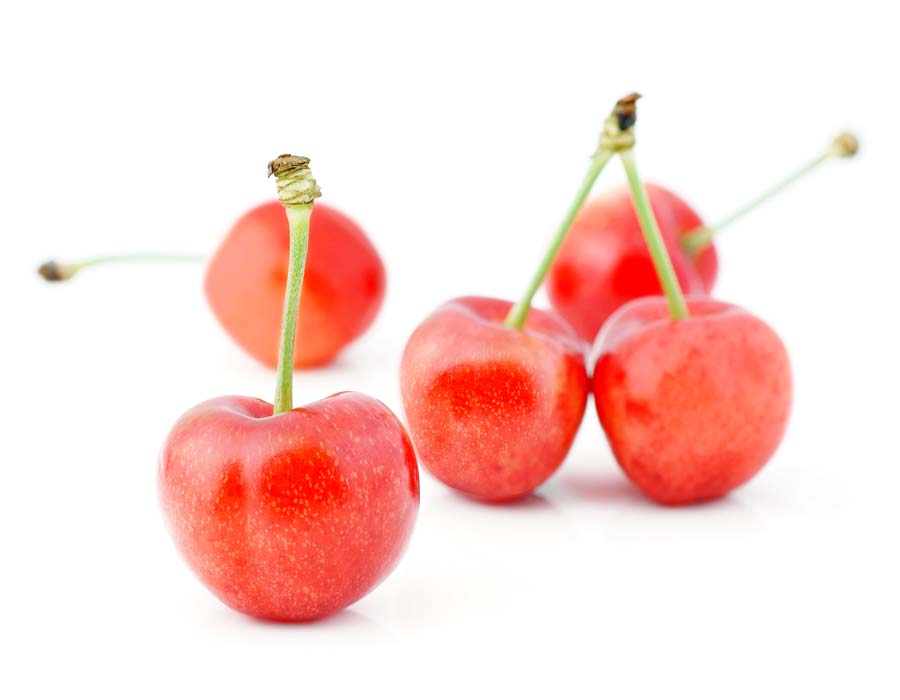 cereza bicolor orchard exportación