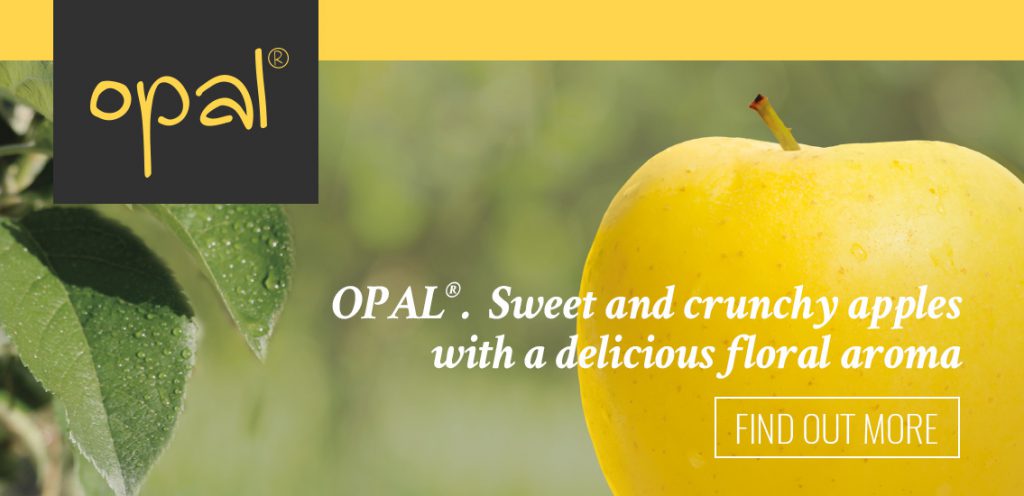 Opal apple. Banner home | Orchard Fruit